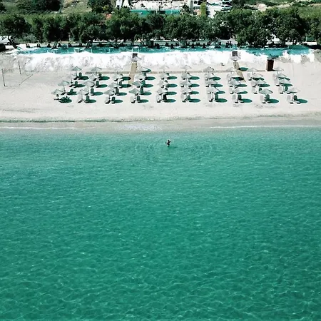 فندق Thassos Grand 4*