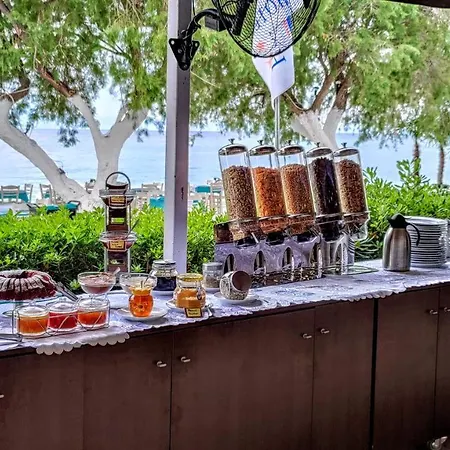 Hotell Thassos Grand Limenaria (Thasos)