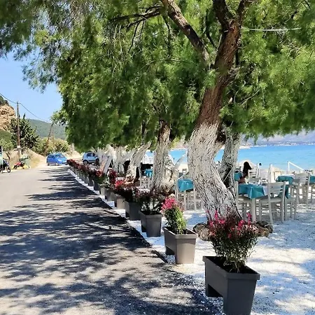 Hotel Thassos Grand 4*